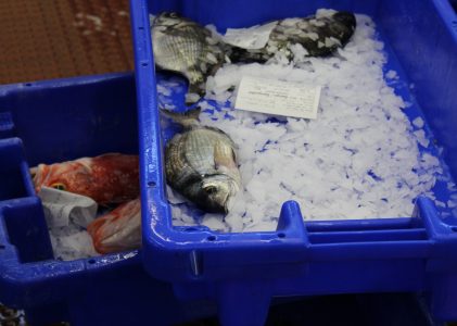 Vendedores de pescado preocupados “Com a restauração encerrada, diminui mais de 70% o movimento das peixarias”