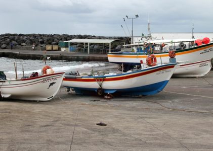 Governo dos Açores disponibiliza apoios para o setor das pescas